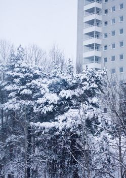 Winter in Oslo.