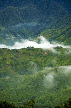 Valley at Sa Pa, Vietnam