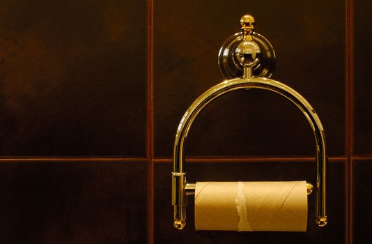 Image shows a finished toilet paper roll in a luxurious restroom. 
