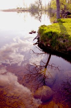 Evening reflections on the lake in spring. Transparent water.