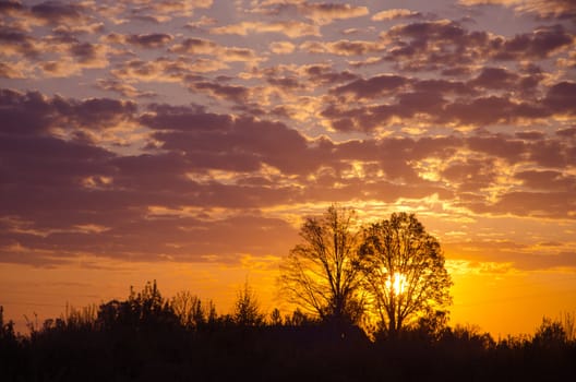 Clouds and trees in the background of wonderful early sunrise.