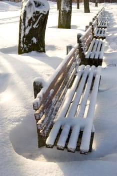 Row of benches in town square strongly covered with midwinter snow.