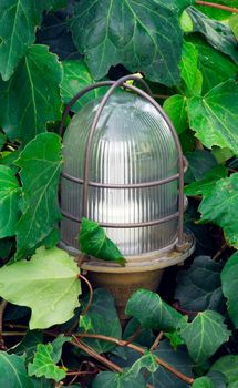 Picture of a garden lantern discreetly hidden in garden plants