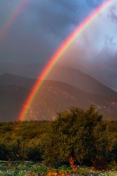 Image shows a vivid rainbow above a countryside field