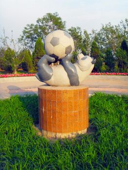 the panda playing football