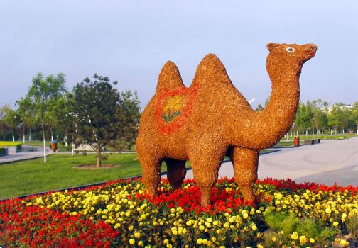 Yellow clay Camel
