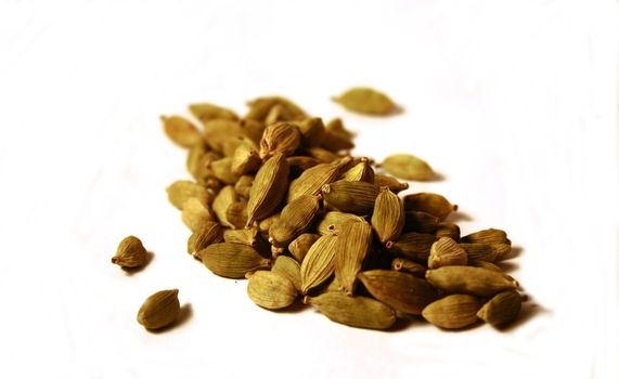 Cardamom seeds on white background