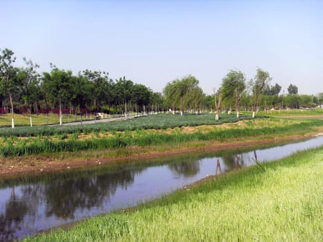 river