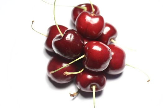 Cherries on white background