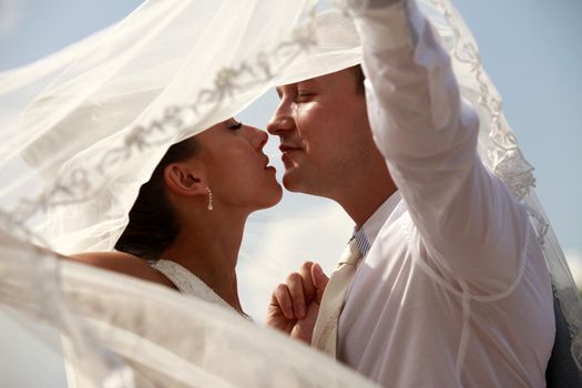 The groom and the bride kiss having closed by a veil