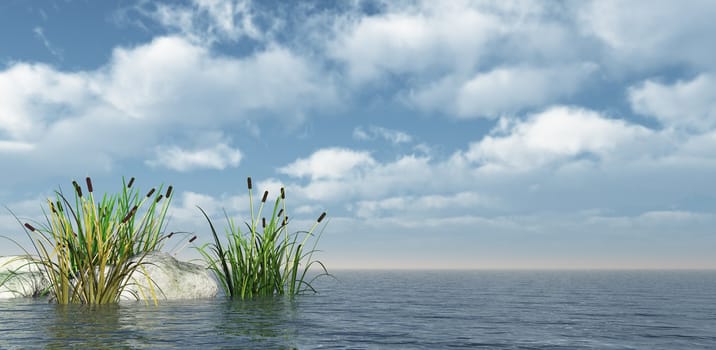 reed and stones on water in front of blue sky - 3d illustration