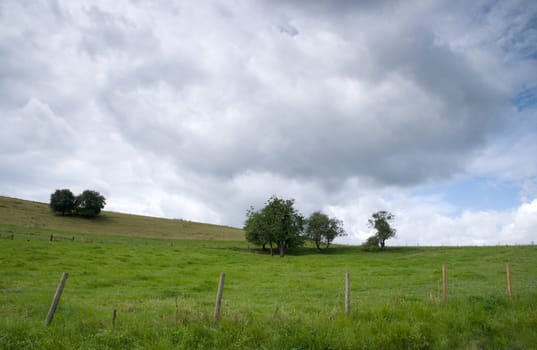 Sloping meadows with grass and trees on cloudy day in summer