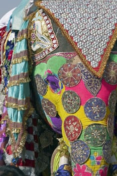 Decorated elephant at the annual elephant festival in Jaipur, Indi