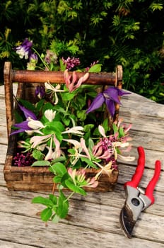 Fresh cut flowers from the garden in a wooden tray