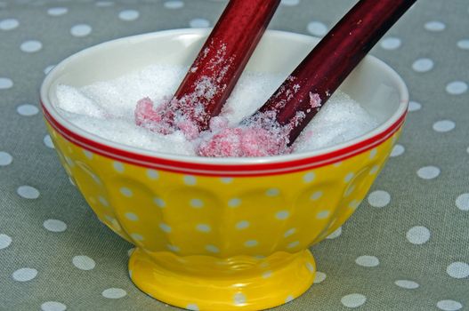Rhubarb stalks dipped in sugar. Candy for children
