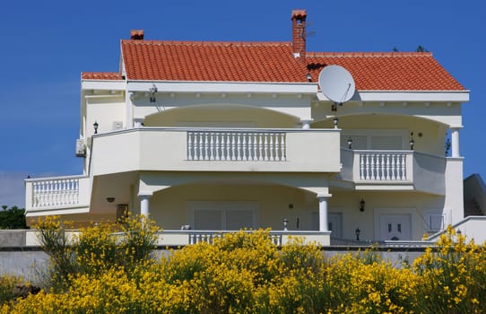 Elite House - villa. Photographed from the front. With lots of yellow flowers in the foreground.