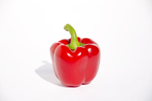Red pepper paprika with green branch isolated on a background. Healthy and ecological food.