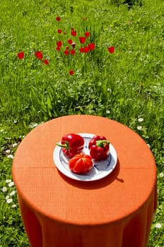 Table standing in the meadow with two red peppers and one tomato on it. Ecological and healthy food.