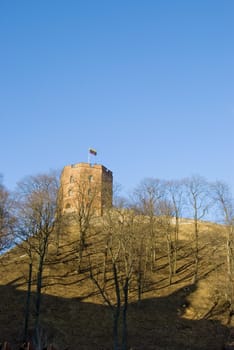 Gediminas castle in Vilnius with Lithuania flag on top of huge hill. Tricolor - yellow, green, red.