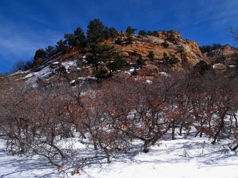 February among the rock formations of Roxborough State Park, Colorado.