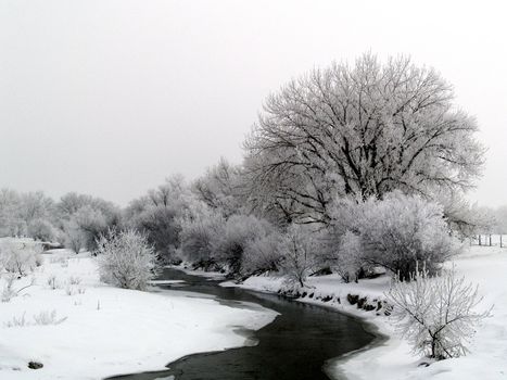 Big Thompson River in Winter