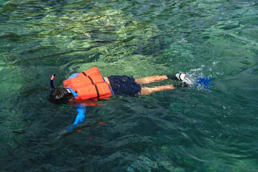 man snorkeling in a coral reef

