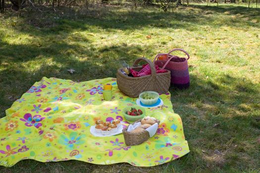 Colourful picnic blanket in the shade of a tree on a warm summerday