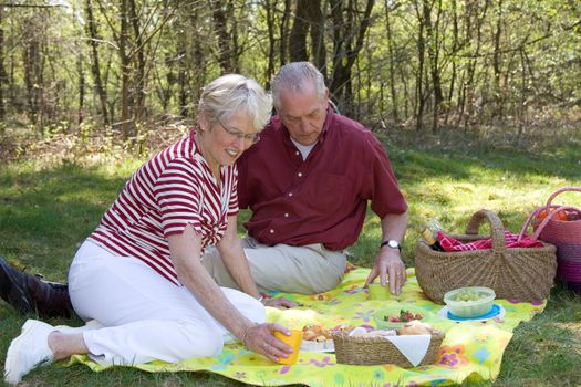 Elderly couple enjoying a lovely picnic outdoors