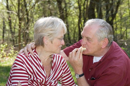 Elderly couple at a picnic in the forest