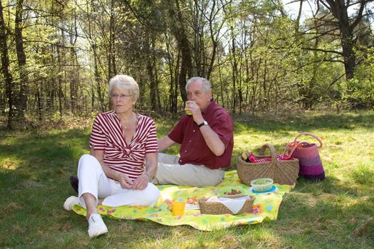 Elderly couple enjoying a lovely summer picnic