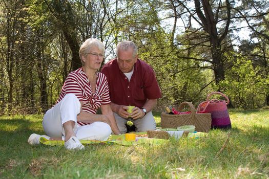 Elderly couple enjoying a leisure pic nic outdoors in the field