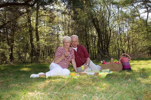 Elderly couple on a field having a picnic on a summerday