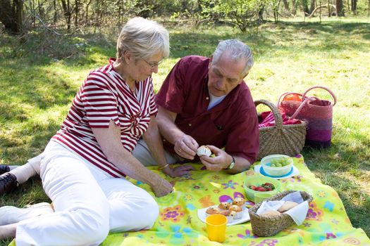 Senior couple enjoying the outdoors while having a picnic