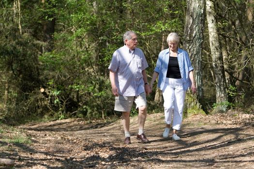 Senior couple together on a summerday strolling through the park