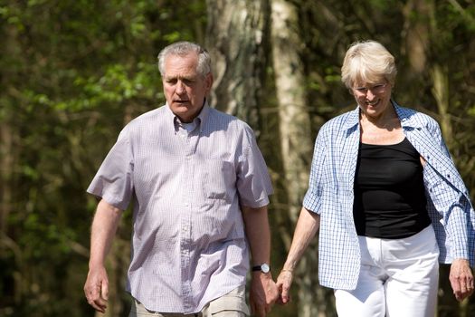 Senior couple out on a summer day strolling through the wood