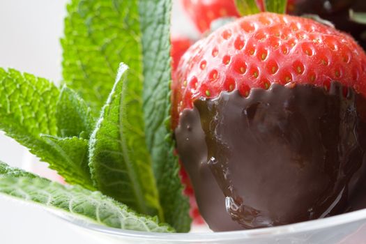 Delicious strawberry with it's tip dipped in chocolate