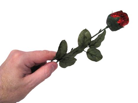 Isolated Hand and Red Valentine Rose
