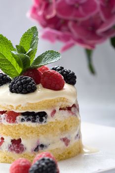 Delicious layered dessert filled with fresh fruits and mascarpone cream