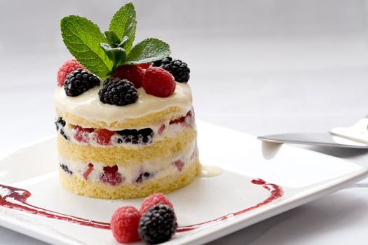 Delicious dessert with layers of cake and filled with mascarpone cream and fresh fruit