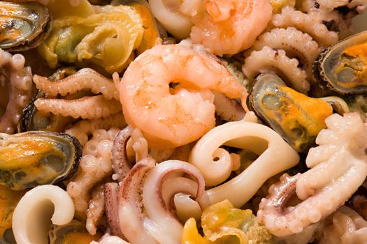 Shrimps, mussels, octopuses and other seafood prepared for the use by close up
