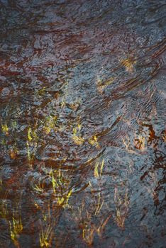 Fresh water stream with waterweeds in spring