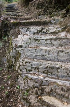 Stairs made of stone and tree trunks to climb up a hill in the forest