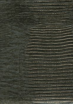 scanned texture of artificial leather