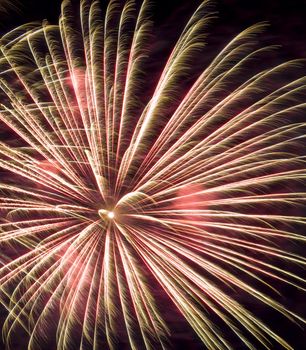 beautiful and colorful  fireworks display at night