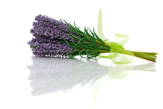 Bunch of lavender flower isolated on white background, close-up