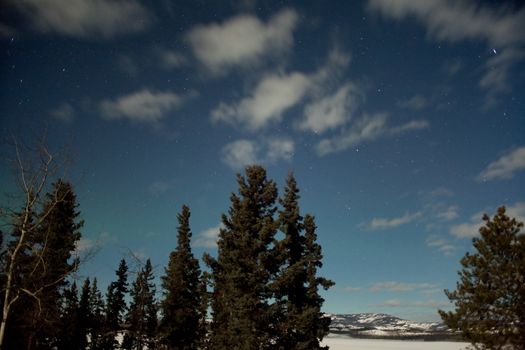 Moon lit night, faint aurora borealis and lots of stars, image taken at the shore of Lake Laberge, Yukon Territory, Canada