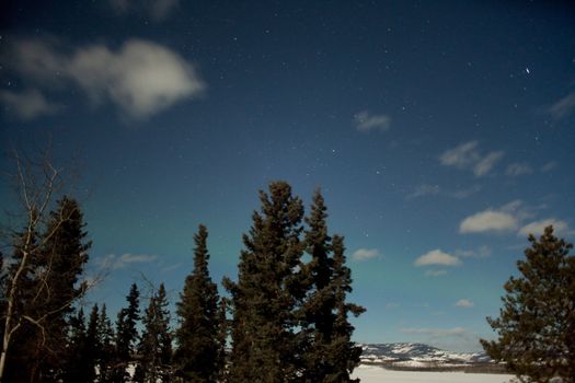 Moon lit night, faint aurora borealis and lots of stars, image taken at the shore of Lake Laberge, Yukon Territory, Canada