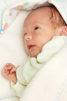 Portrait of a newborn baby boy