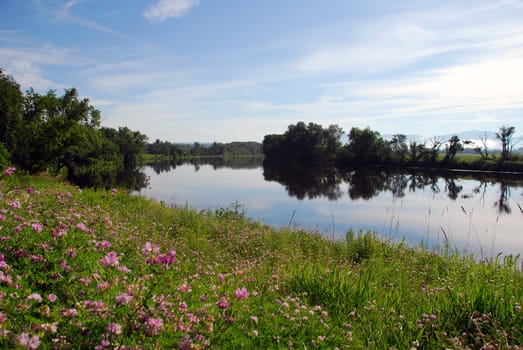 Picture of a calm river on a Summer morning