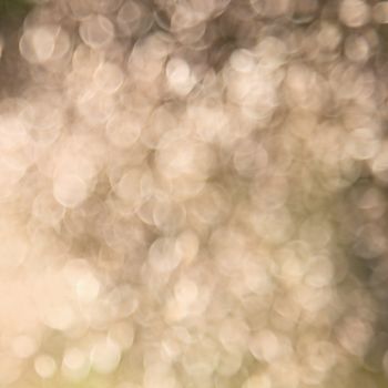 The natural golden summer blurred abstract background